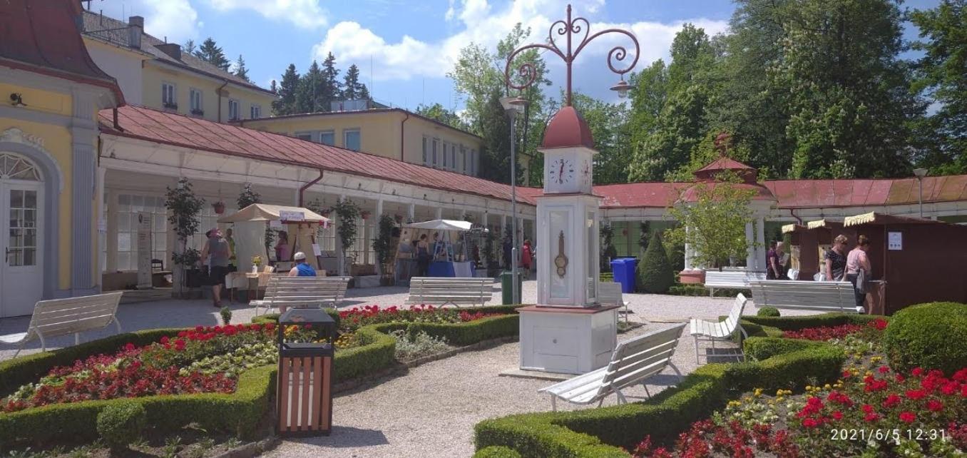 Apartman Smrcek Nove Mesto pod Smrkem Exterior foto